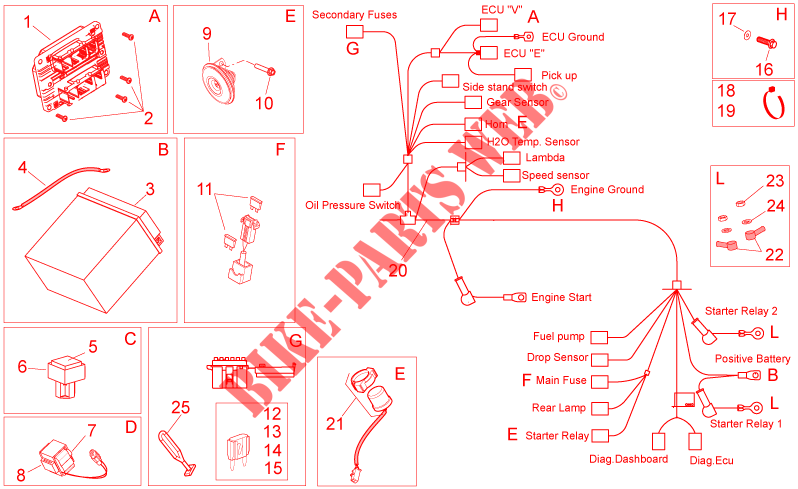 Circuit electrique II pour Aprilia Dorsoduro ABS de 2014