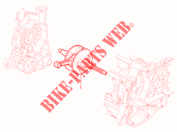 Vilebrequin pour Aprilia SR Motard 4T E3 de 2014